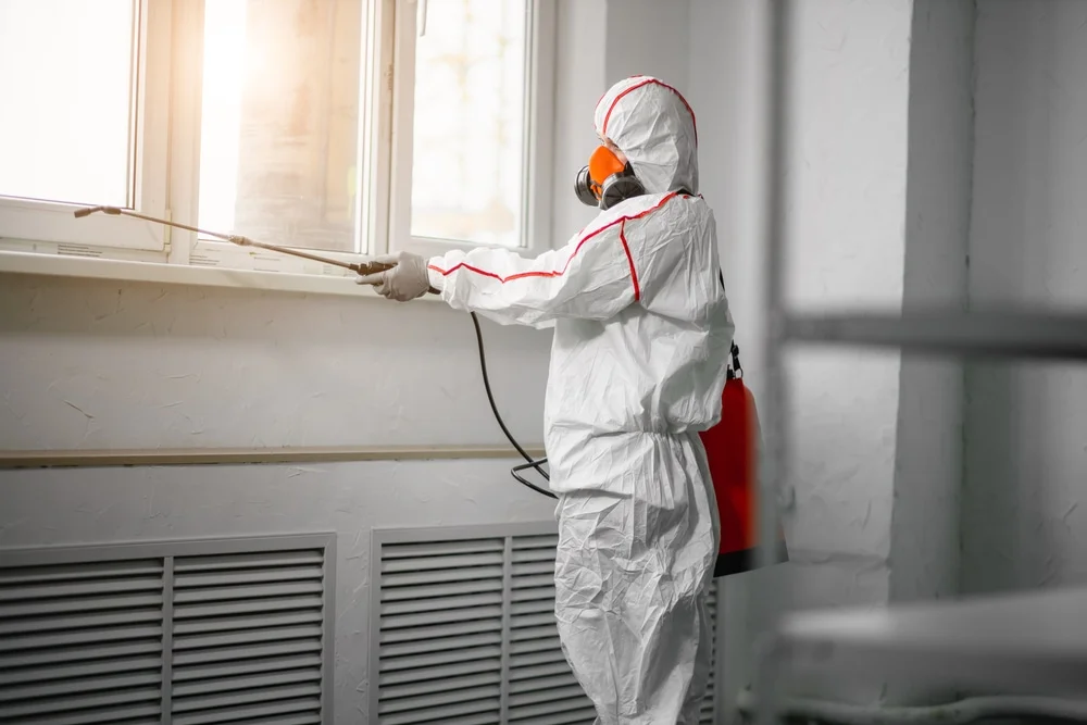 Professional mold remediation services in Hortonville, WI